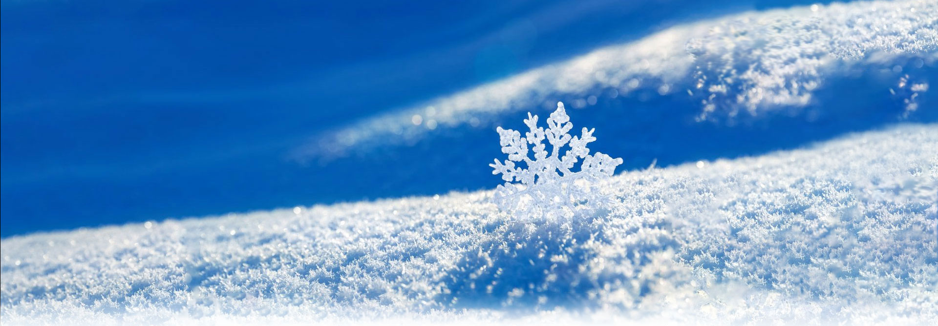 �ⰺ����-�Ƽ����ܳ���,�����ָ���Ȥ!